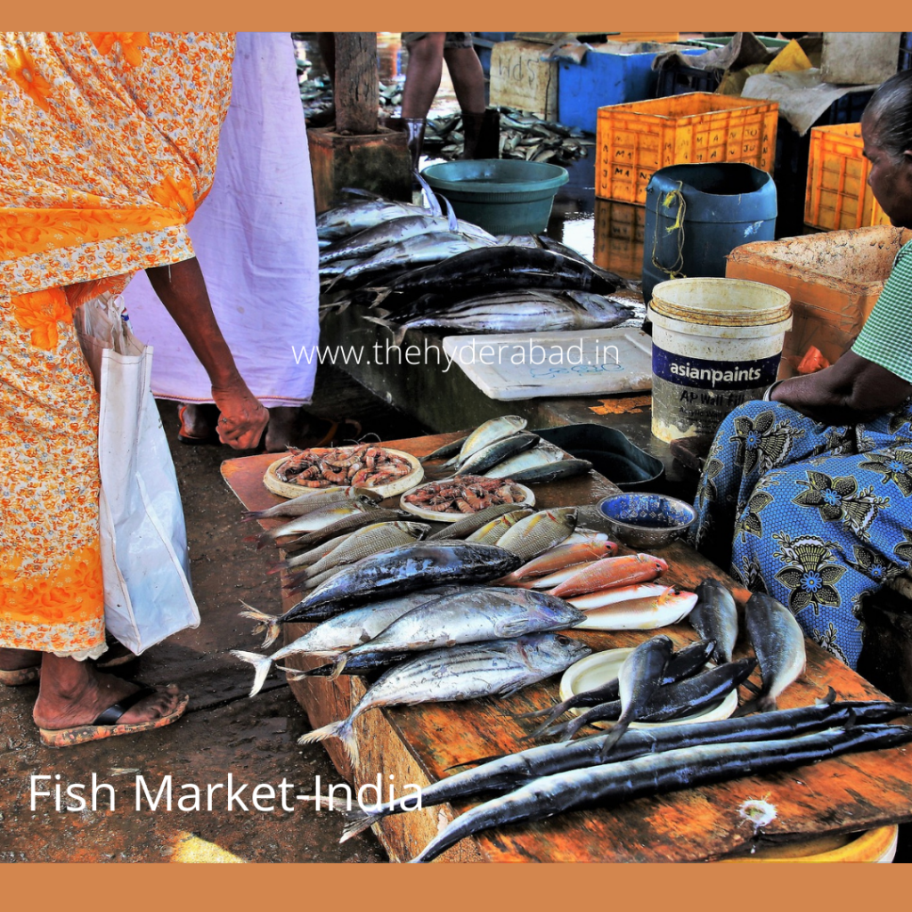 Fish Market in Hyderabad for Sea Food Lovers
