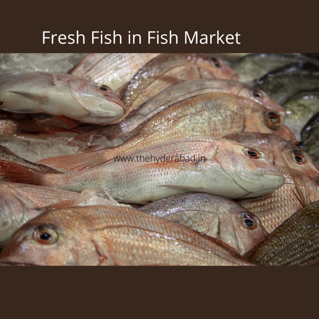 live fish market in hyderabad