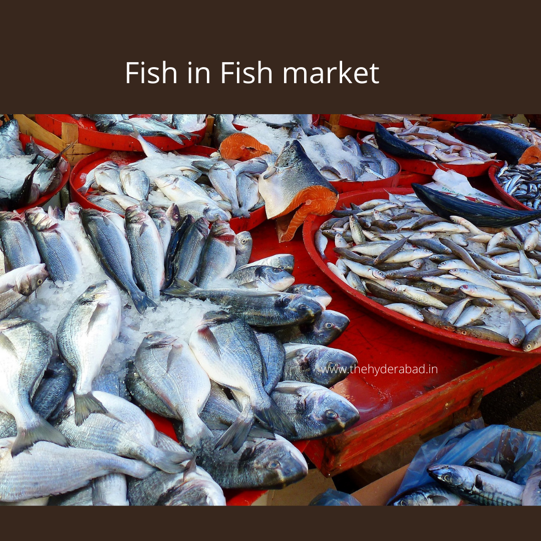Fish Market in Hyderabad