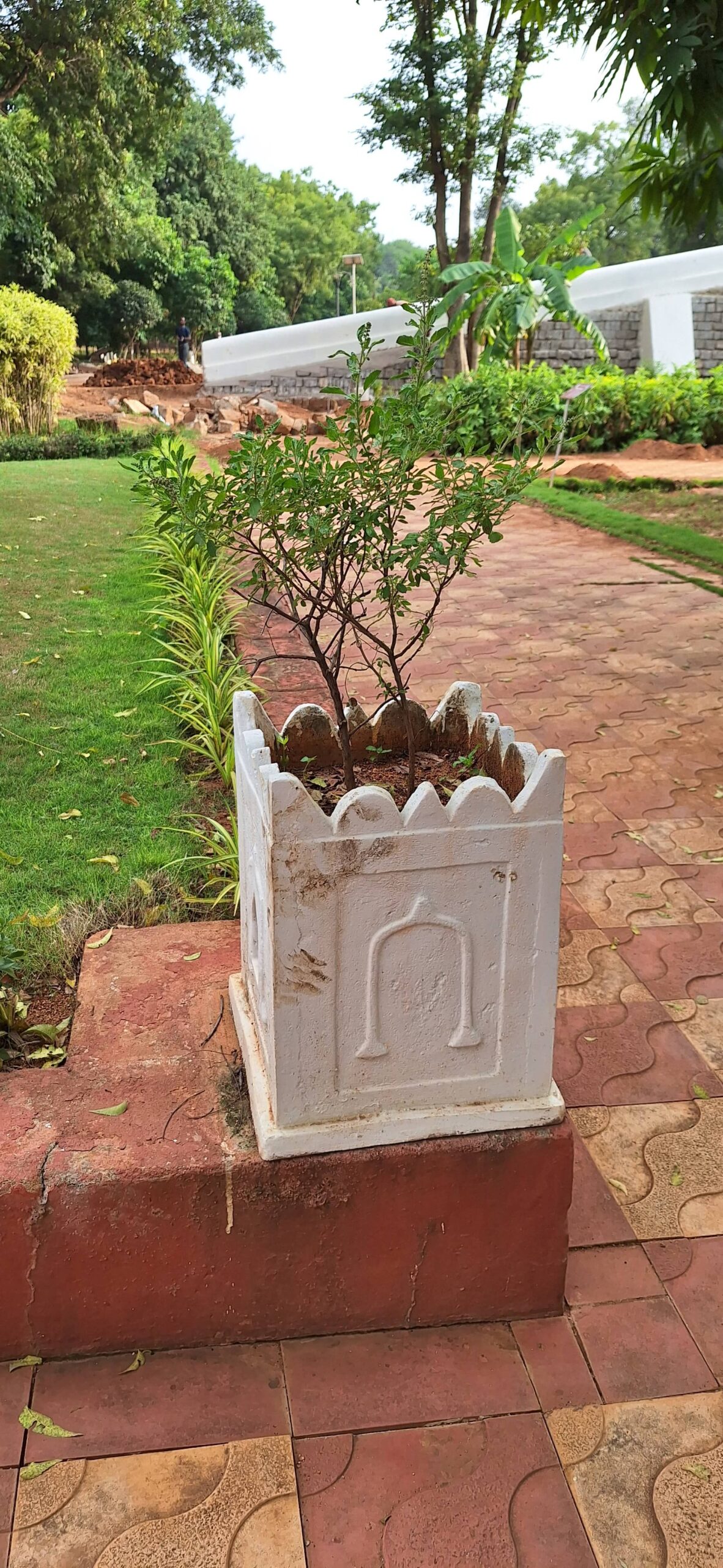 herbal garden at Rashtrapathi Nilayam