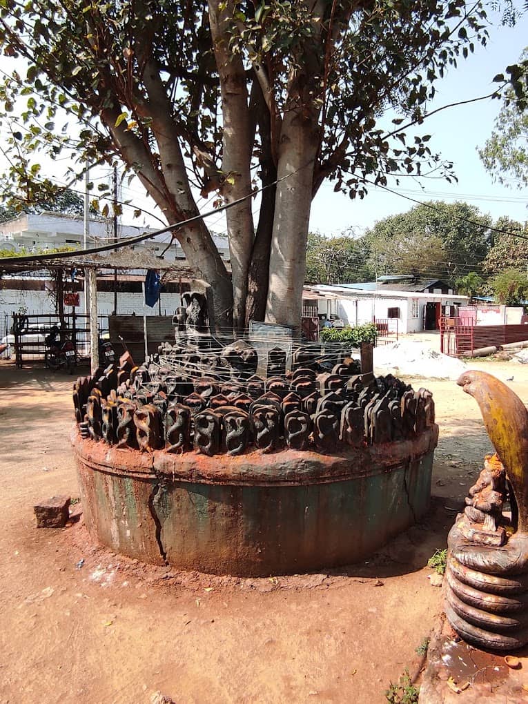 90% of these snake idols were installed by devotees themselves in Naga Devatha Temple, Secunderabad